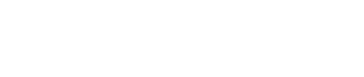 voyagehouston elitenannyleague